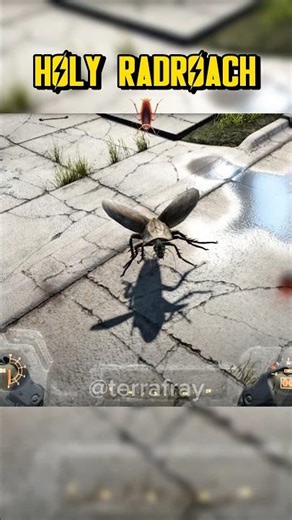 One Hell of a Radroach 💀 Fallout 4 Meme