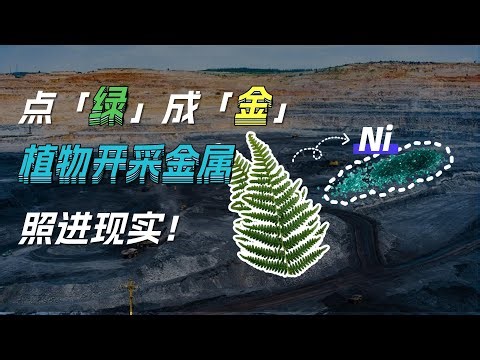 Plant Mining 🌿: Can Bioengineered Crops Replace Traditional Mines?