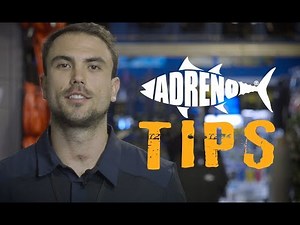 Shore Dive Spearfishing | ADRENO