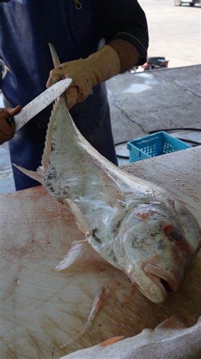 Fastest Fish Cut Ever?! ⏱️😱 38 Seconds of Madness