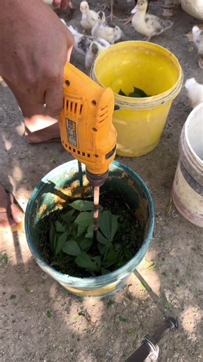 Top Vegetable Choppers and Shredders for Your Kitchen