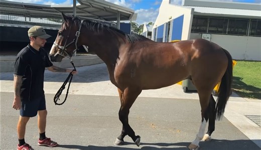 019cb732-2aae-7103-b4a9-3ec730f7fb22-20260307203625