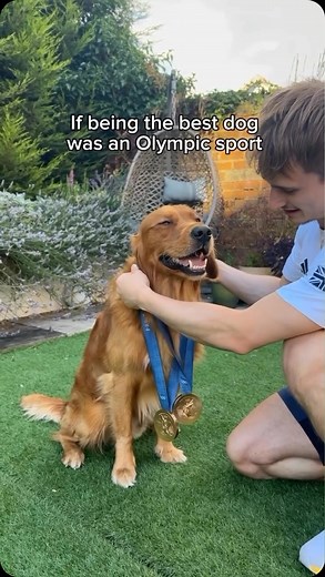 29K views · 874 reactions | Who else has a gold medal doggo? 殺  @lois_toulson | NBC Olympics & Paralympics | Facebook