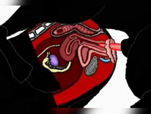 Dog Sex Compilation - Woman, Extreme Taboo