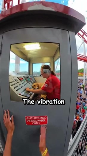 Karen Trapped Puppy in Amusement Park Ride Control Room 😢💔