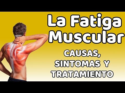 LA FATIGA MUSCULAR, Causas, signos y síntomas, diagnóstico y tratamiento