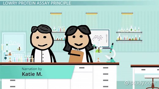 Lowry Protein Assay: Principle, Protocol & Mechanism