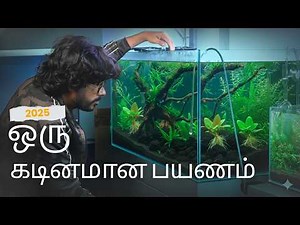 2025 அனைத்தையும் இழந்தேன்... ஆனால் இதைக் கற்றுக் கொண்டேன்! ✨| Ep 273