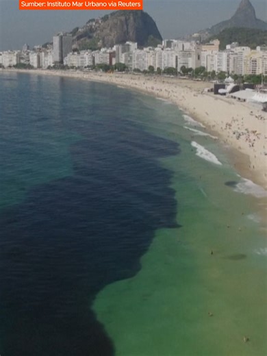 Fenomena Ikan Bilis di Pantai Copacabana