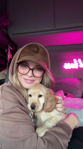 Cocker Spaniel et Nœuds Mignons : Préparation de Ma Pupette