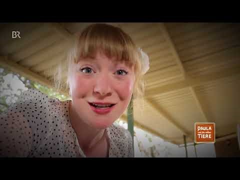Adler, Geier & Co. (Doku) | Reportage für Kinder | Paula und die wilden Tiere