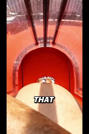 He Pressed the Pool Button… and Instantly Regretted It 😱💧