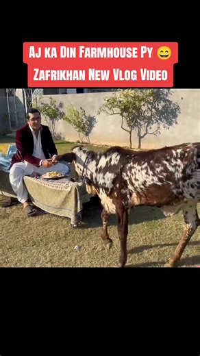 Farmhouse Fun: Zafrikhan's New Vlog Adventure