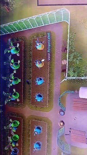 Tithe farm 🍊🍊🍋🍑🍐Farming