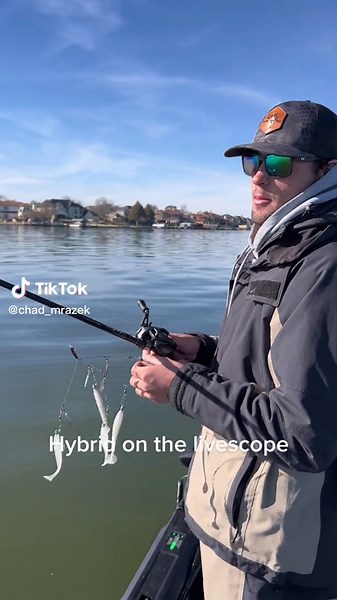 @6thsensefishing @waterlandco @clemensbrothersoutdoors #HolidayOREOke #fyp #bass #fishing #boat #KAYKissCountdown #bassfishing