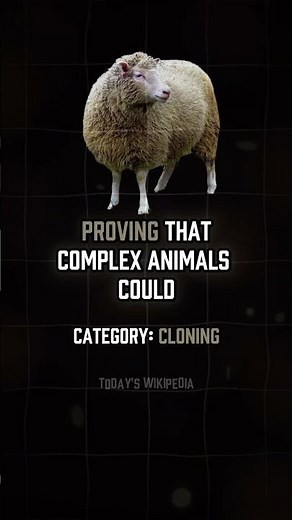 😲 Meet Dolly: The First Cloned Animal in History!