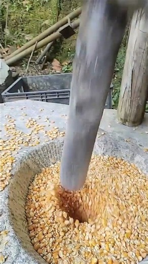 Motorized Eccentric Wheel Corn Pounding Machine
