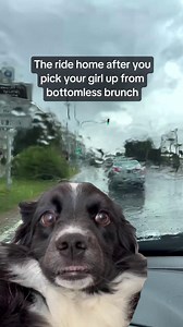 Too many mimosas. #PurpleClover | Purple Clover