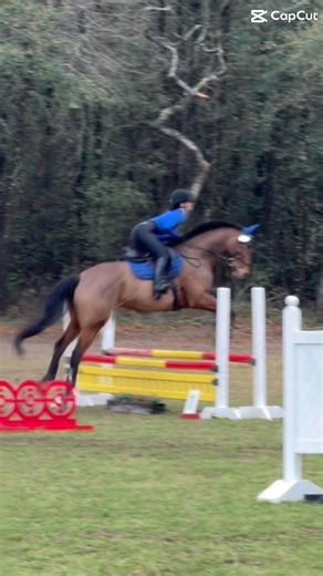 Why did the first jump eat up so much #horsebackriding