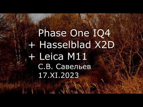 S.V. Savelyev - Phase One IQ4 + Hasselblad X2D + Leica M11