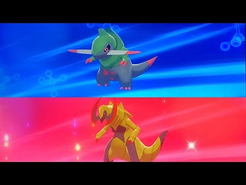 How to Evolve Fraxure into Haxorus - Pokemon Sword and Shield