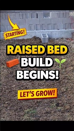 The Raised Bed Build Begins! 🧱 | Planter Boxes