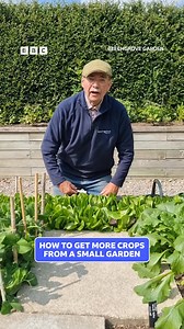 Small Space Garden | Beechgrove Garden “Doesn't that brighten up your kitchen table.” George shows us how to get the most out of a small garden. Watch Beechgrove Garden on BBC iPlayer #BeechgroveGarden #Gardening #SmallSpaceGarden #GardeningTips | BBC Radio Scotland