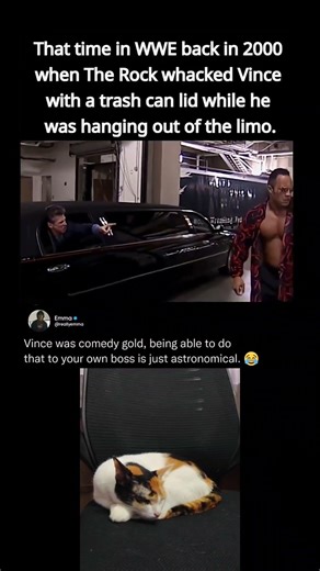 That time in WWE back in 2000 when The Rock whacked Vince with a trash can lid