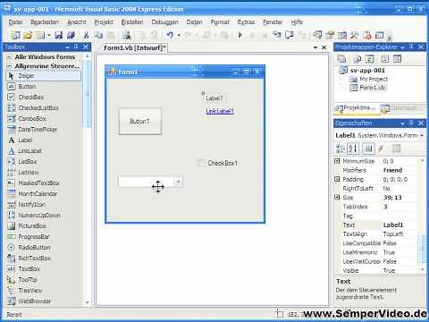 Die Grundlagen (Visual Basic 2008 1-2)
