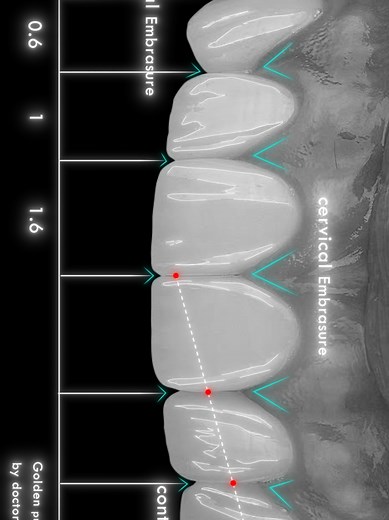 Discover Dental Motion Graphics Course with Discounts
