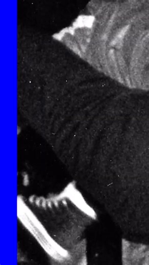 Mr freeze on Instagram: "History of a bee boy."