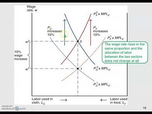 The Effects of A Change in the Relative Price Case I