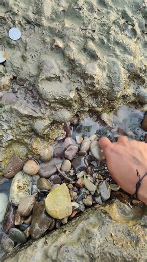 Haridwar mein Ganga ji ke paas sona chandi milne ki baat sach hai kya? 🤔 #Haridwar #Ganga