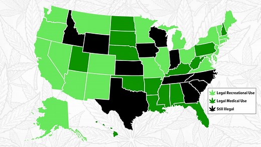 Where to Find (Legal) Weed in the US in 2025