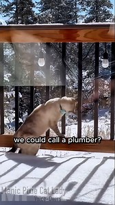 11K views · 2.4K reactions | What a problem solver QUICK CREDITS:...