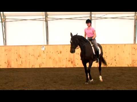 Turn on Forehand - 40 Fundamentals of English Riding