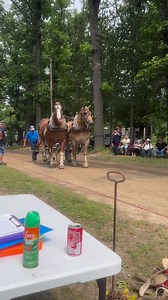 6.3M views · 186K reactions | Easy peasy #horses #belgianhorse #drafthorse #belgian #draft #horsepuller #horsepulling #horsepull #horsepower | Suzanne Carrick | Facebook