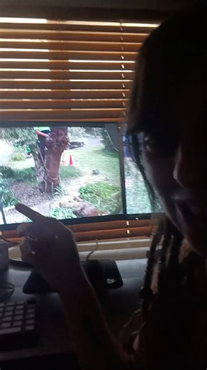 Need Binoculars? Hilarious Moments with Tradies