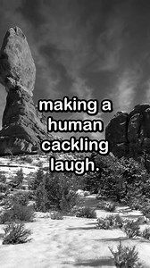 262K views · 2.4K reactions | Are wolves usually this fast?! It’s so unsettling when animals walk like this, much less run. #skinwalker | Campfire Stories | Facebook