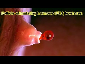 What is a follicle-stimulating hormone (FSH) levels test | What are the symptoms of high and low FSH