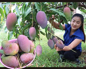 Yummy Purple mango recipe - Cooking with Sreypov | FOOD & COOK