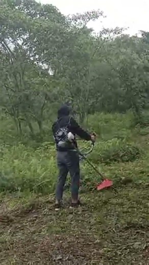 Pinay Farm Girl, Real Province Women Work Hard!!!