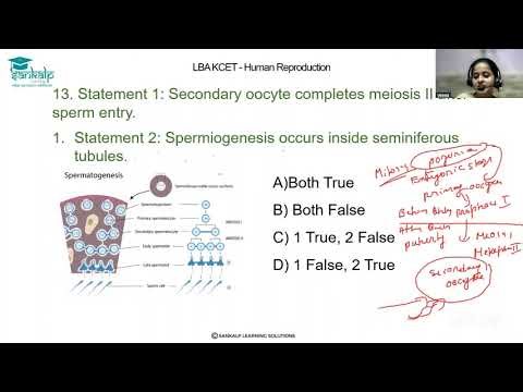 LBA KCET Biology Human Reproduction MCQ 13