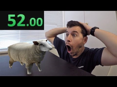 Crazy Cattle 3D Speedrun - Ireland 0:52.00 [NEW WR]