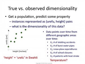 PCA 1: Real dimensionality vs observed dimensionality