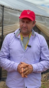 31K views · 887 reactions | En Santa Rosa visitamos Filo Hortic, con mayor producción nacional de tomate. Qué alegría conocer a la Familia Vega, cuyo trabajo incansable fortalece la cadena productiva e impulsa el desarrollo local | Lilian Samaniego | Facebook