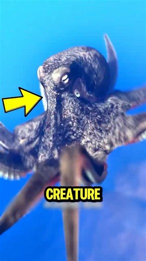 The Deadliest Ocean Creature Isn't a Shark... 😳🌊