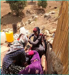 mother being bitten by a poisonous snake - So Dangerous Life Of Iran Nomad Family With Snake - Iran Villagers Life | Family Food