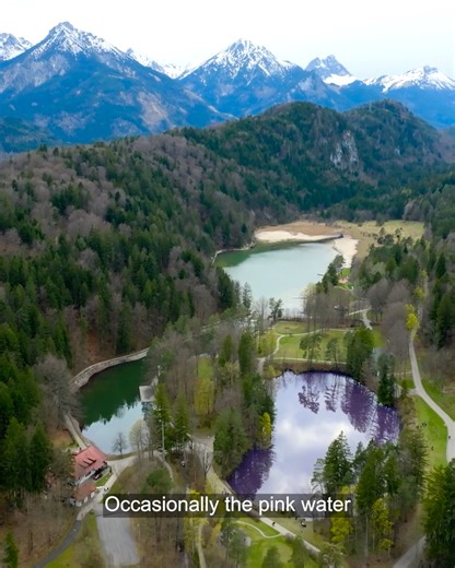 1.8K views · 19 reactions | Dive deeper into Alpine lakes and...