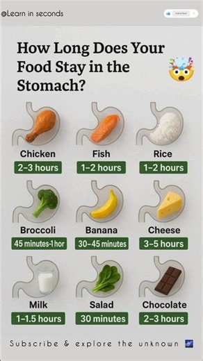 Food digestion time in seconds ⏱️✨#healthfacts #learninseconds #bodyfacts #digestivehealth